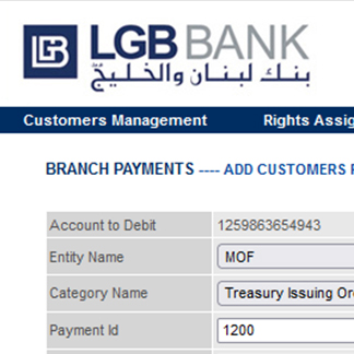 LGB - MOF e-Taxation Payment Portal