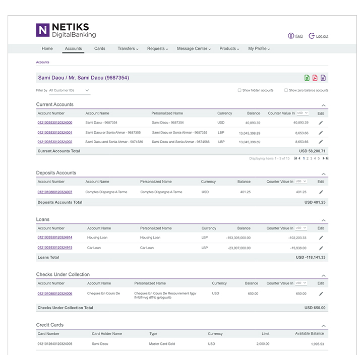 Netiks Digital Banking Screen 4