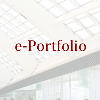 Netiks - ePortfolio Portal