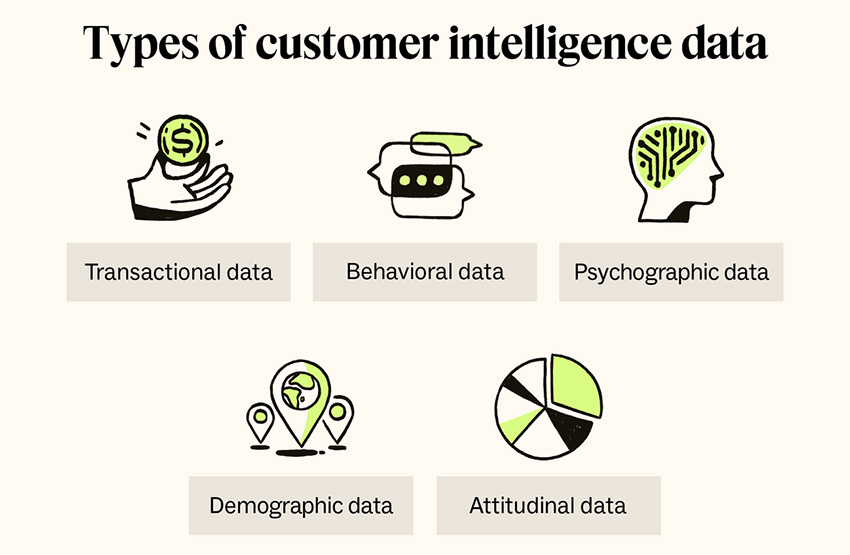 Types of Customer Intelligence Data