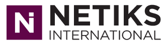 Netiks Logo