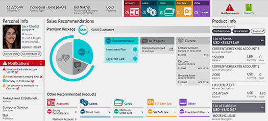 2004 - Netiks engages with Microsoft on CRM