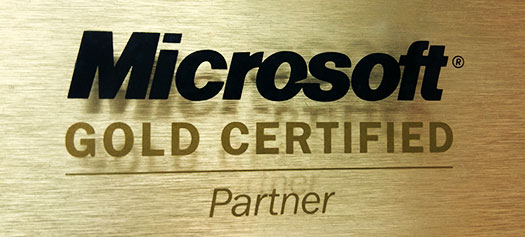 2006 - Netiks becomes a Gold Microsoft Partner on CRM, Software Development and Software Integration