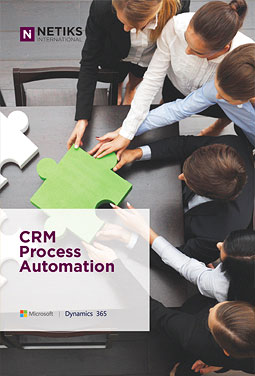 Netiks CRM Process Automation Brochure